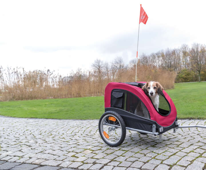 TRIXIE Fahrrad-Anhänger für Hunde